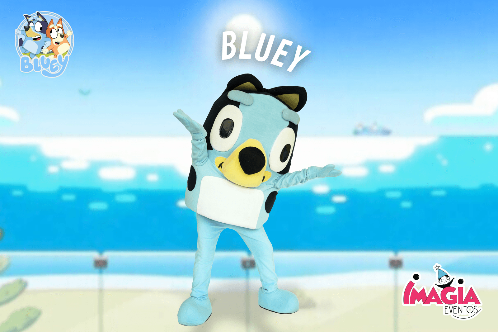 SHOW-BLUEY